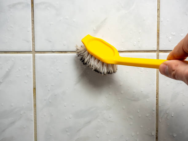 Best Local Mold Removal Service  in Woodmont, CT