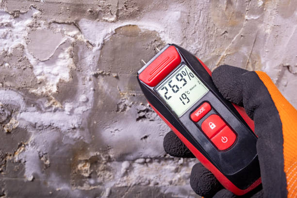 Best Residential Mold Removal  in Woodmont, CT